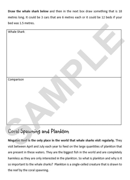 zKIDS ON THE ROAD - QLD ACTIVITY SHEETS - eSheets for immediate download