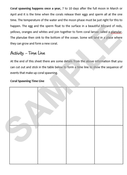 zKIDS ON THE ROAD - SA ACTIVITY SHEETS - eSheets for immediate download