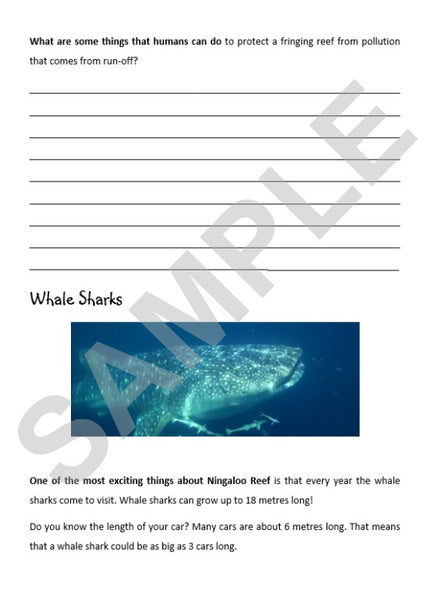 zKIDS ON THE ROAD - WA ACTIVITY SHEETS - eSheets for immediate download