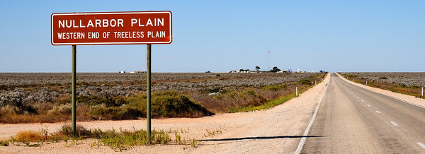 zKIDS ON THE ROAD - SA ACTIVITY SHEETS - eSheets for immediate download